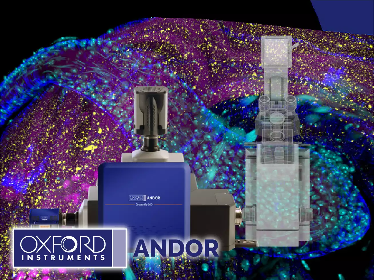 Andor High-Speed Confocal with 3D Super-Resolution